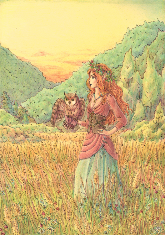 56e64f720aed2_.thumb.png.c2eab67824a3471